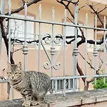 Гостевой дом Harmony Ксамил