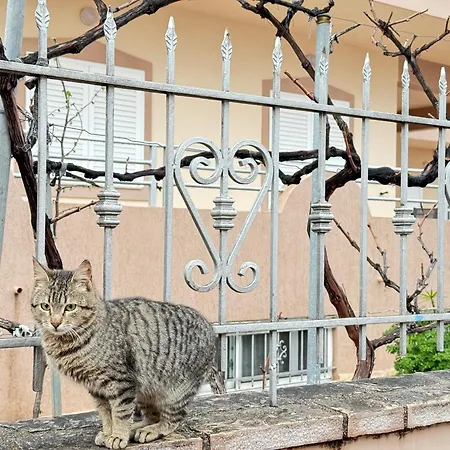 Guest house Harmony Ksamil